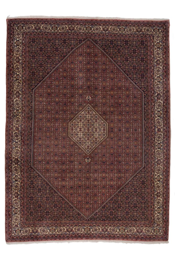 Bidjar Tekab 251x339cm