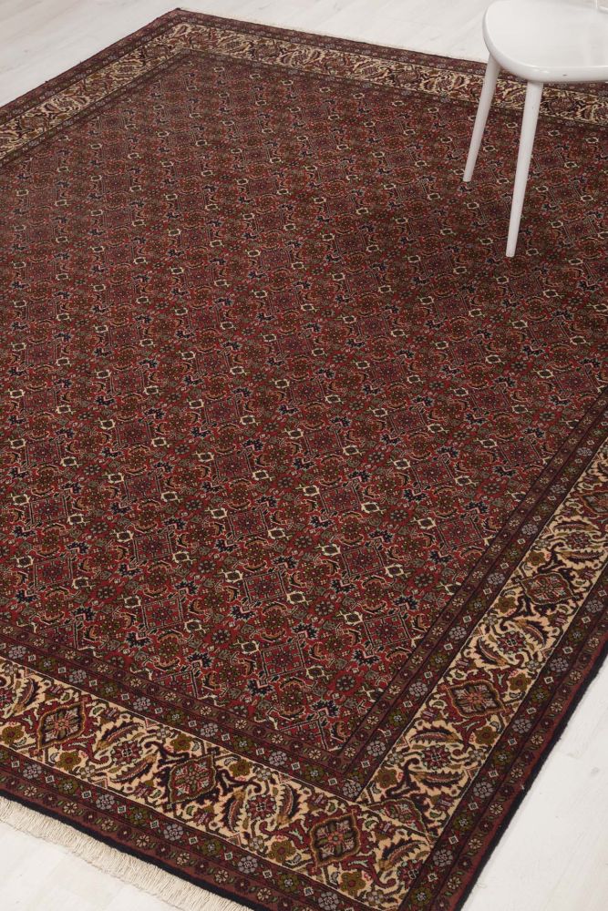 Image Lable BlueOne19-05-20-08:38:52