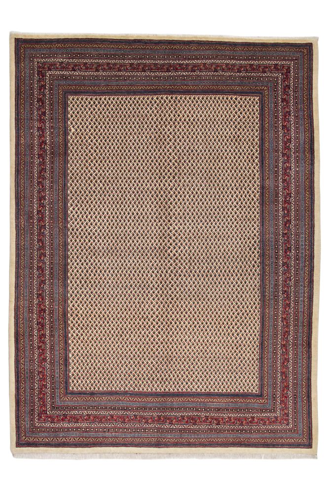 Image Lable BlueOne27-05-20-16:39:22