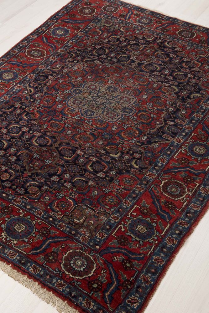 Image Lable BlueOne24-08-20-15:44:25