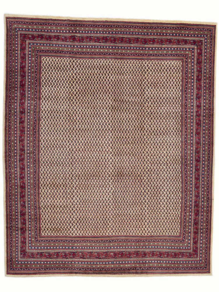 Image Lable BlueOne25-09-20-17:23:17