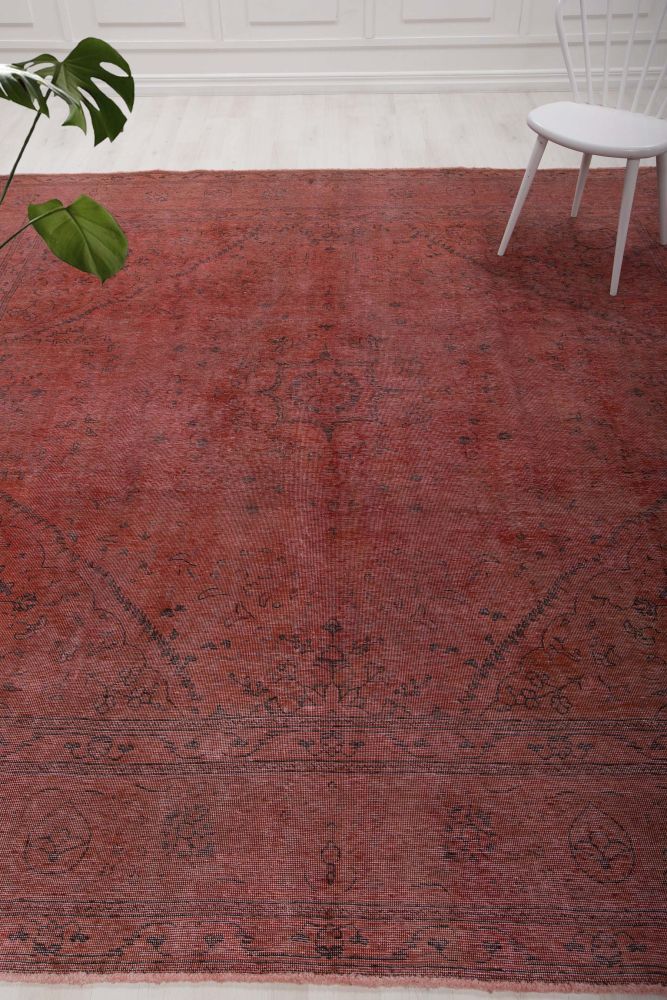 Image Lable BlueOne29-10-19-20:37:42