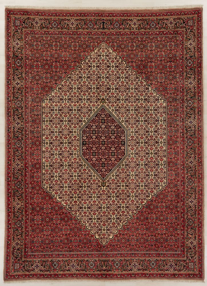 Image Lable BlueOne23-09-20-02:24:30