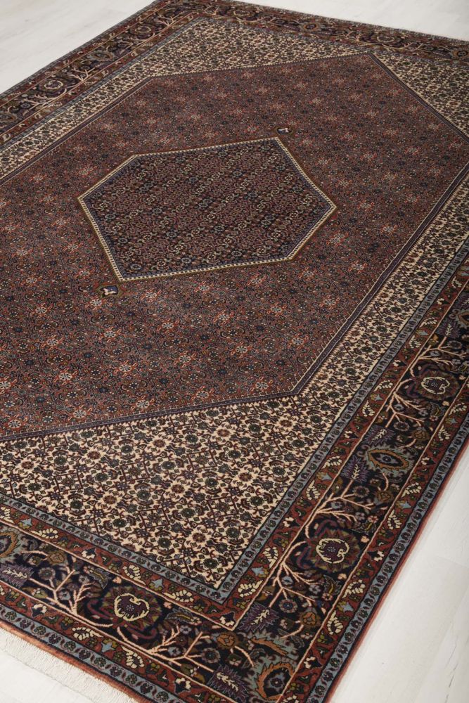 Image Lable BlueOne07-11-19-14:51:07