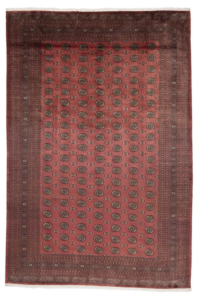 Image Lable BlueOne16-04-20-11:38:24