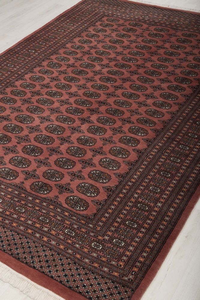 Image Lable BlueOne06-03-20-10:04:41