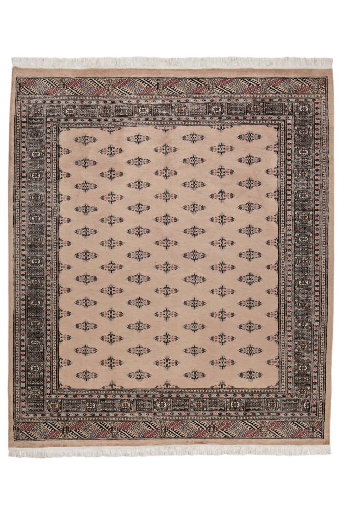 Image Lable BlueOne09-04-20-10:45:09