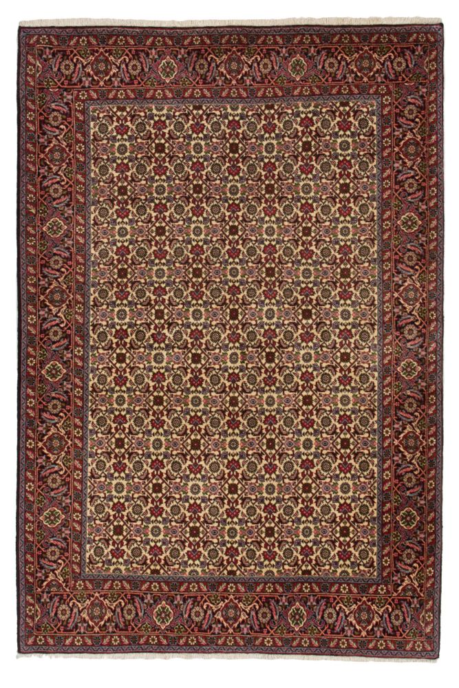 Image Lable BlueOne06-11-19-13:00:32