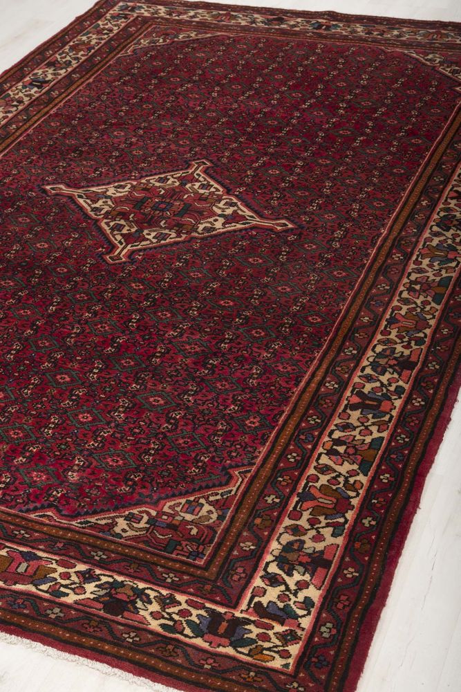 Image Lable BlueOne23-04-20-16:08:29