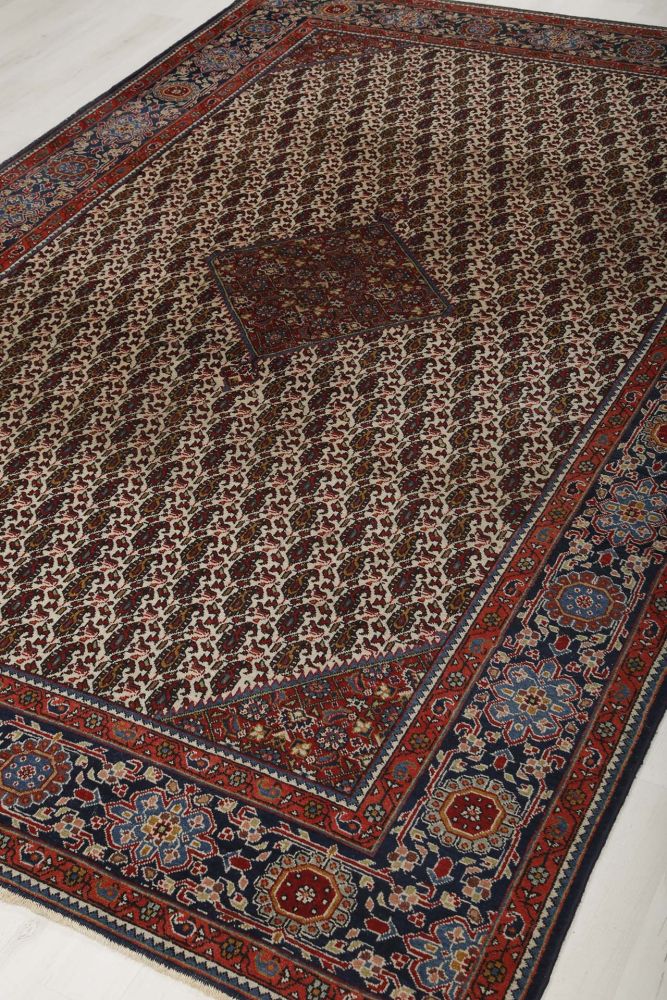 Image Lable BlueOne22-09-20-15:26:52