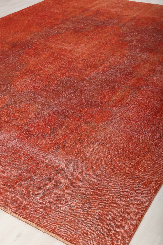 Image Lable BlueOne29-10-19-23:57:02