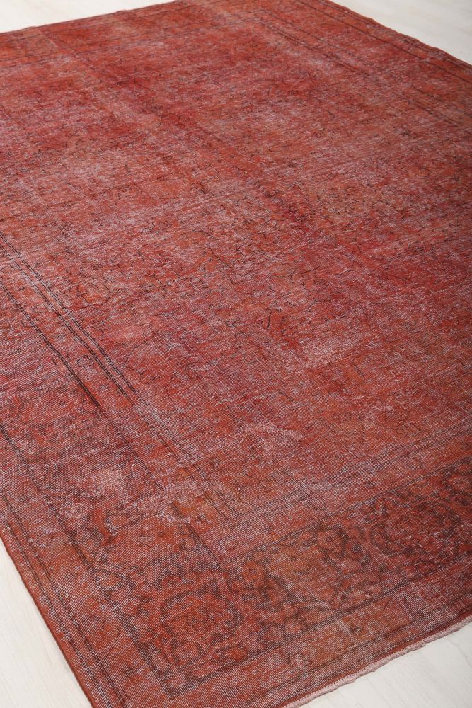 Image Lable BlueOne30-10-19-01:00:49