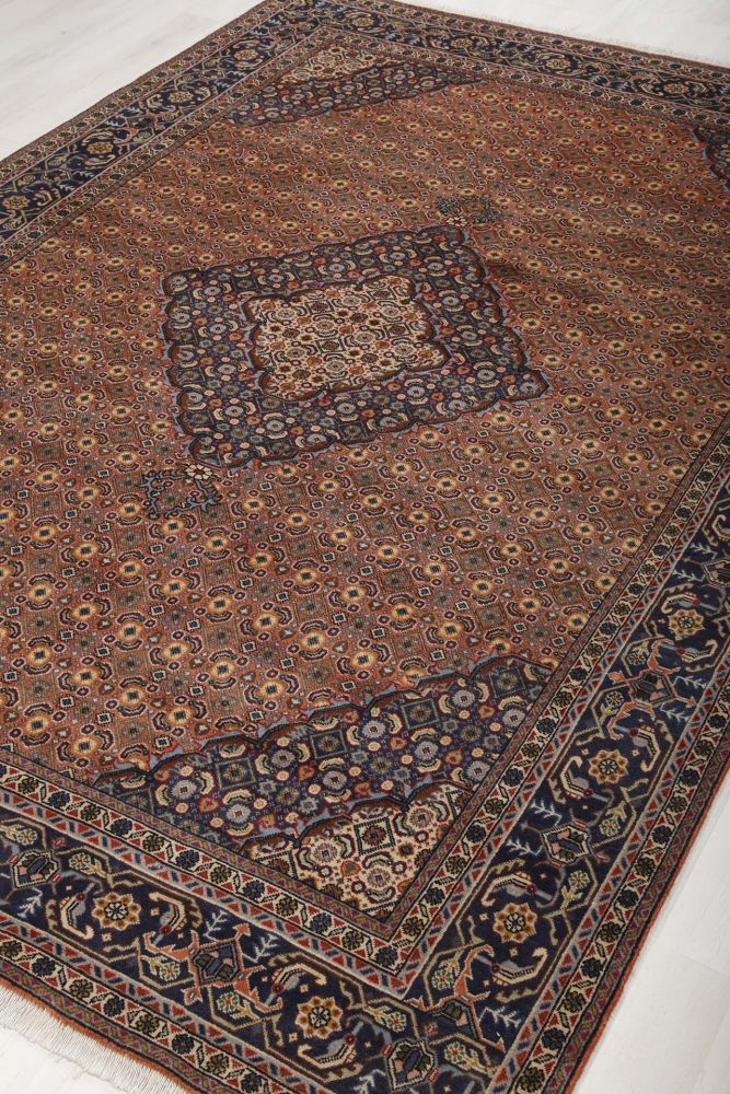 Image Lable BlueOne22-10-19-10:09:43