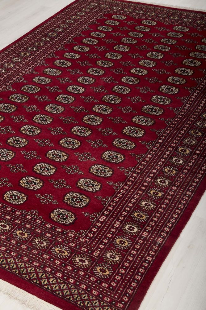 Image Lable BlueOne03-02-20-15:48:33