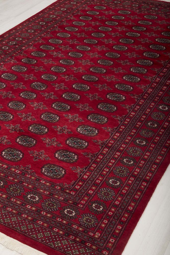 Image Lable BlueOne03-02-20-15:52:31