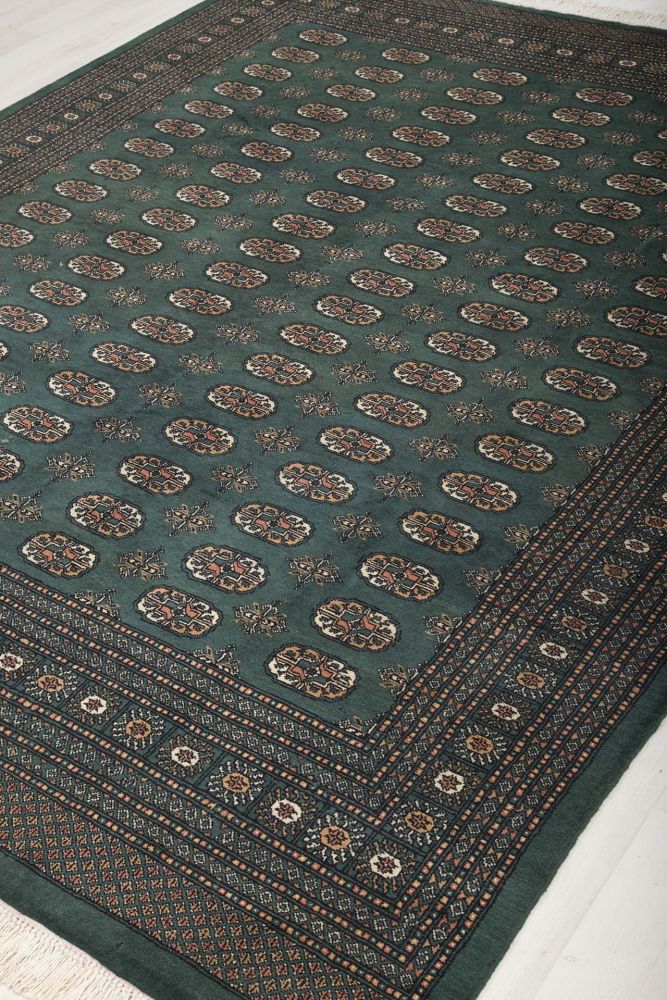 Image Lable BlueOne16-03-20-08:31:29