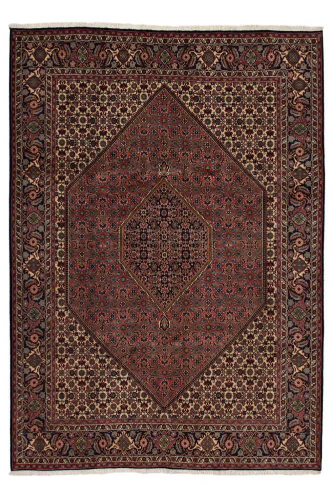 Image Lable BlueOne24-08-20-14:45:31