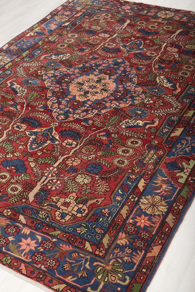 Image Lable BlueOne17-03-20-16:26:04