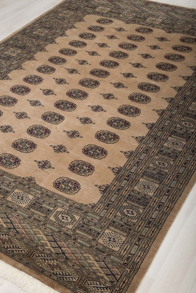 Image Lable BlueOne06-03-20-10:01:03