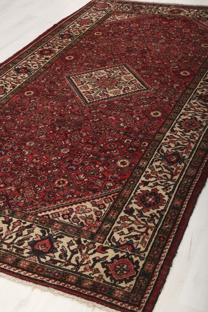 Image Lable BlueOne28-10-19-11:29:49