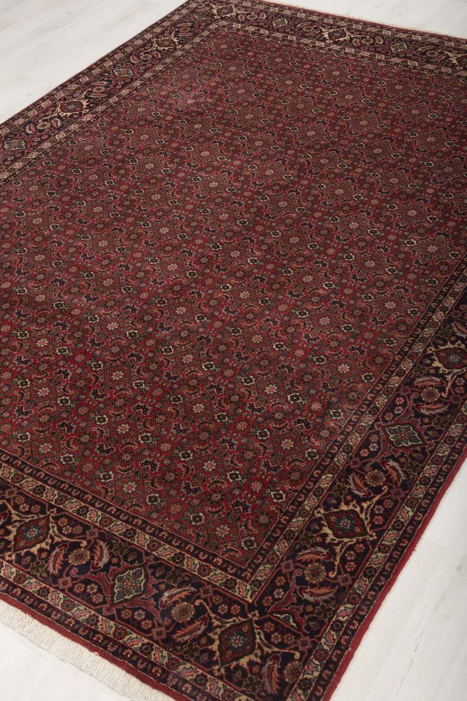 Image Lable BlueOne13-03-20-14:06:30