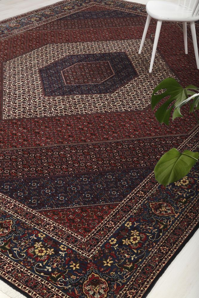 Image Lable BlueOne24-07-19-10:02:35