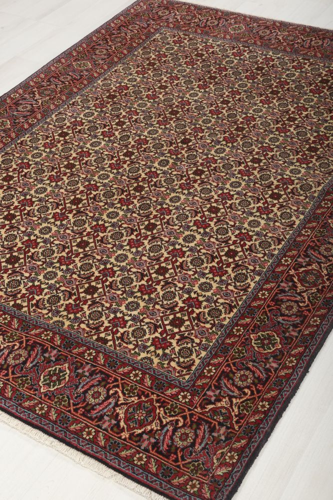 Image Lable BlueOne06-11-19-13:00:32