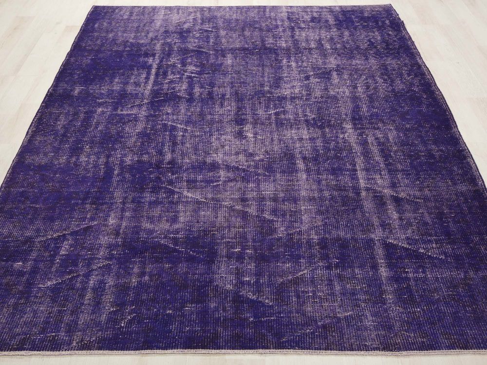 Image Lable BlueOne29-10-19-17:19:47