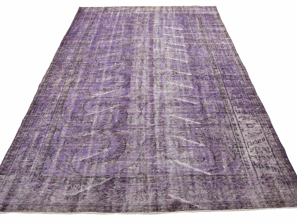 Image Lable BlueOne29-10-19-17:41:30