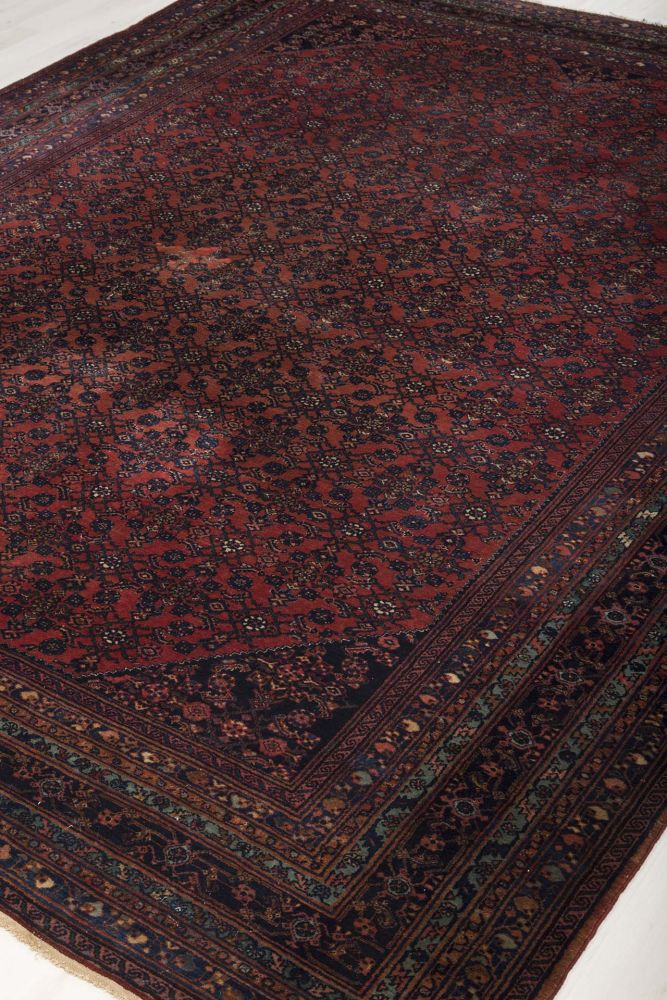 Image Lable BlueOne17-03-20-15:12:35