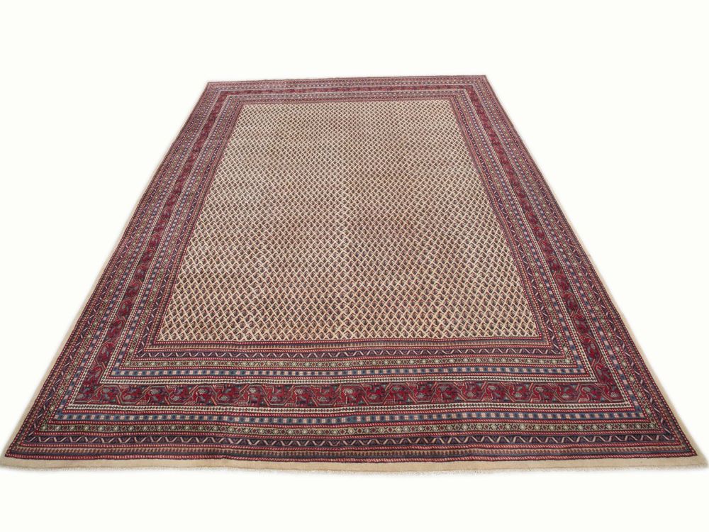 Image Lable BlueOne25-09-20-17:23:17