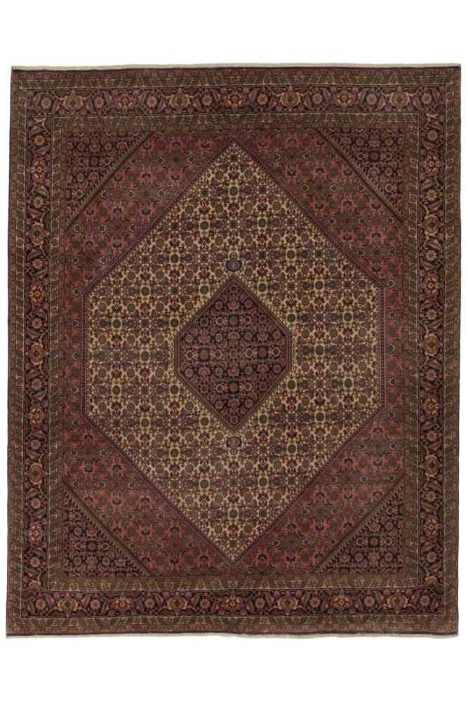 Image Lable BlueOne24-10-19-17:33:49