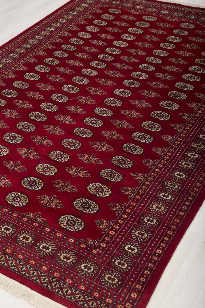 Image Lable BlueOne13-03-20-13:54:58