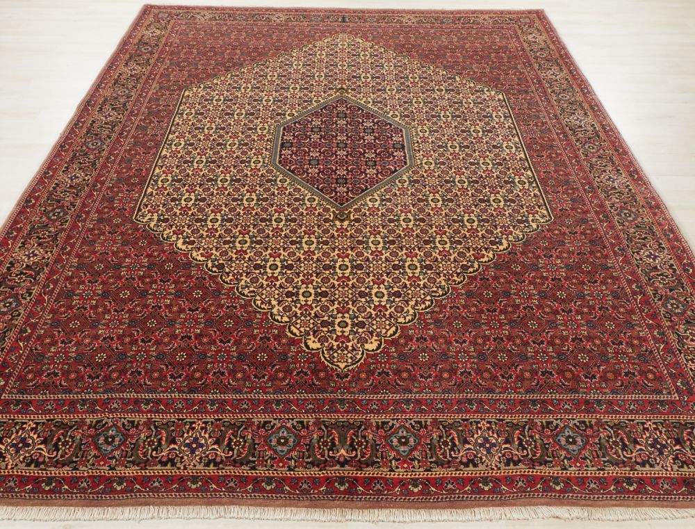 Image Lable BlueOne23-09-20-02:24:30