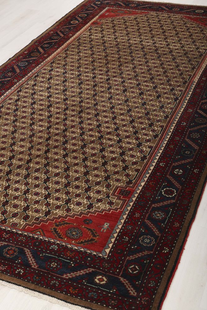 Image Lable BlueOne30-10-19-14:39:26