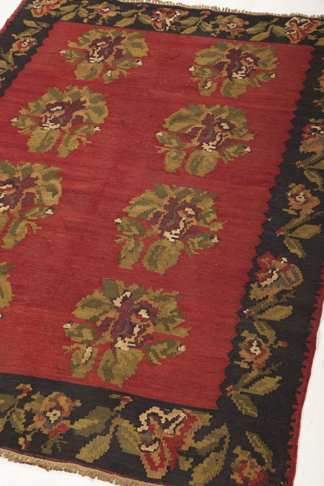 Image Lable BlueOne25-03-21-14:54:35