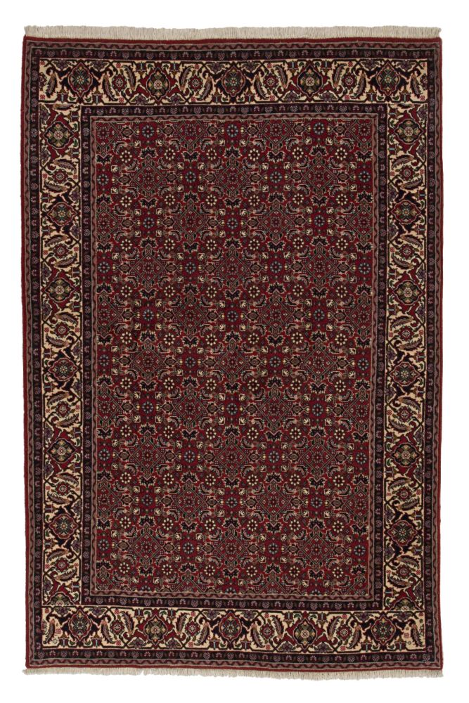 Image Lable BlueOne29-07-19-14:37:50