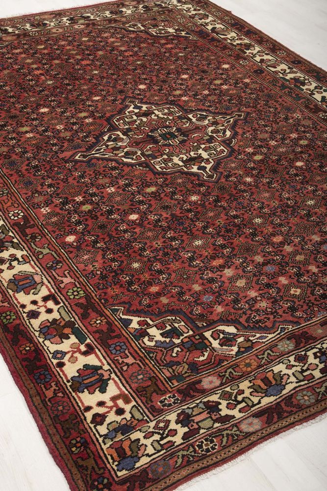 Image Lable BlueOne13-03-20-14:44:28