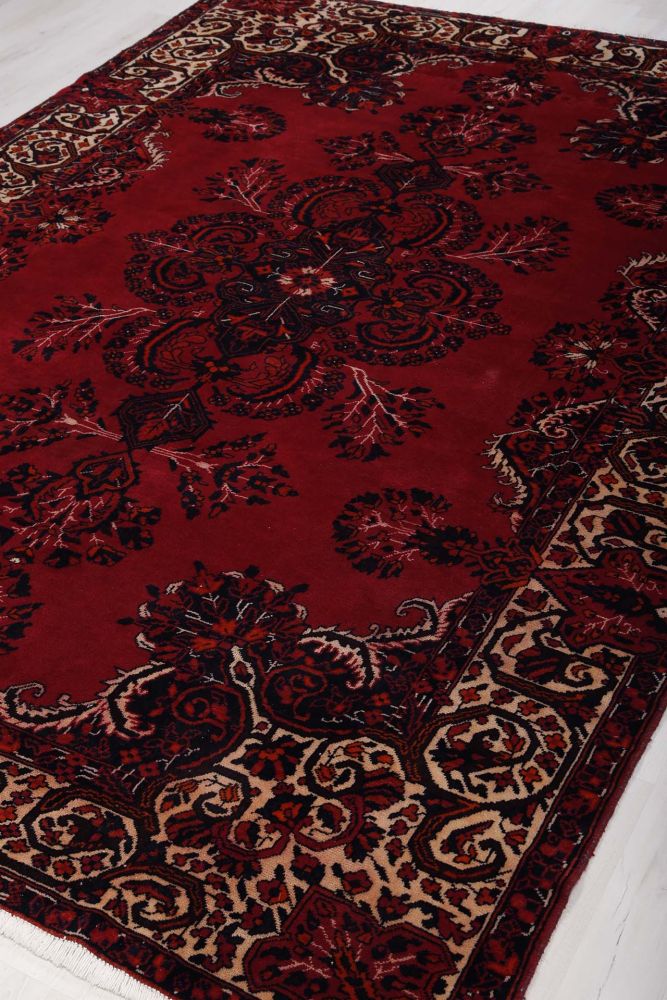 Image Lable BlueOne22-10-19-17:08:29