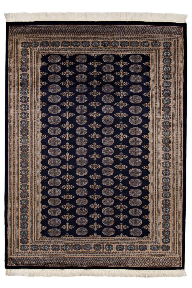 Image Lable BlueOne13-03-20-13:58:47