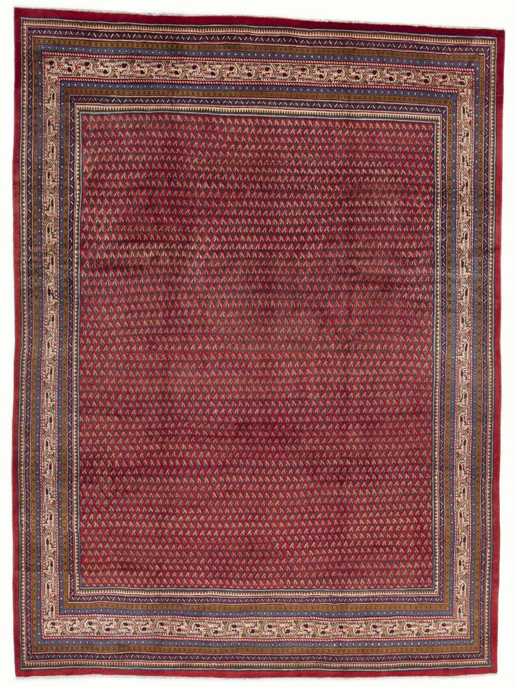 Image Lable BlueOne25-09-20-17:07:41