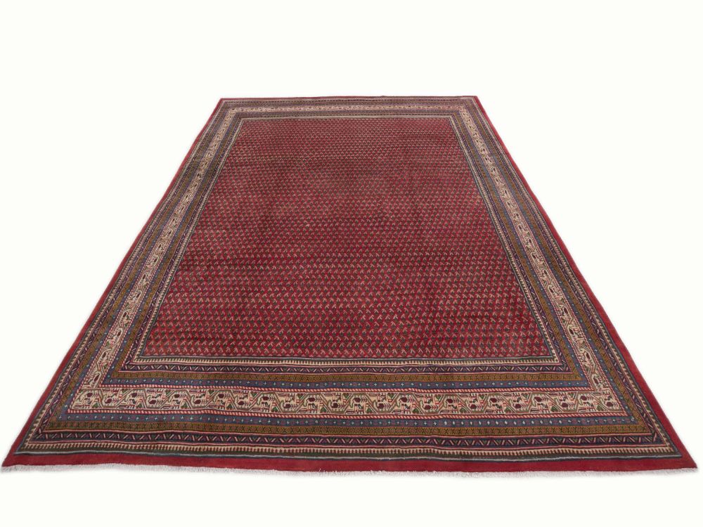 Image Lable BlueOne25-09-20-17:07:41